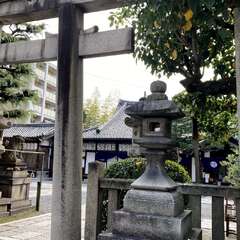 隼神社(投稿日:2025年12月30日) 写真