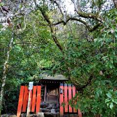 須波神社(投稿日:2025年11月28日) 写真