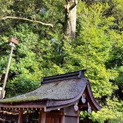 川尾神社(投稿日:2025年11月28日) 写真