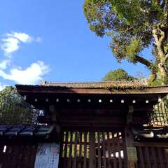 山尾神社(投稿日:2025年11月28日) 写真
