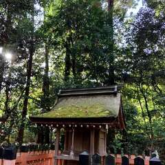 百大夫神社(投稿日:2025年11月28日) 写真