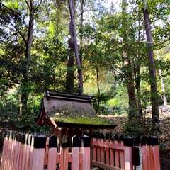 鎮守神社(投稿日:2025年11月28日) 写真