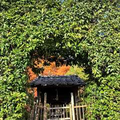 幸神社(投稿日:2025年11月28日) 写真