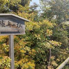 投稿日:2022年4月22日 写真