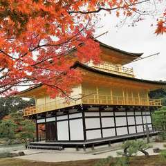 投稿日:2015年12月5日 写真