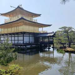 投稿日:2022年4月22日 写真