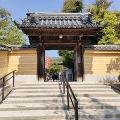 投稿日:2022年4月22日 写真