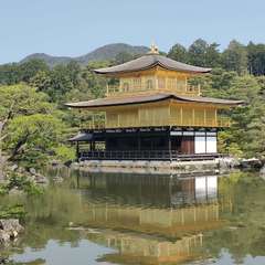 投稿日:2022年4月22日 写真