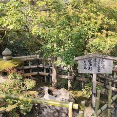 投稿日:2022年4月22日 写真