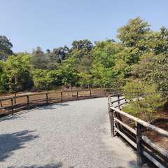 投稿日:2022年4月22日 写真