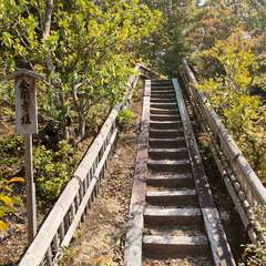 投稿日:2022年4月22日 写真