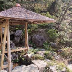 投稿日:2022年4月22日 写真