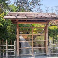 投稿日:2022年4月22日 写真