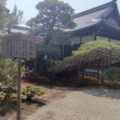 投稿日:2022年4月22日 写真