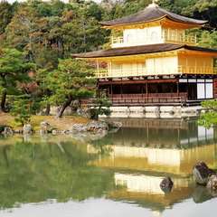 投稿日:2015年12月5日 写真