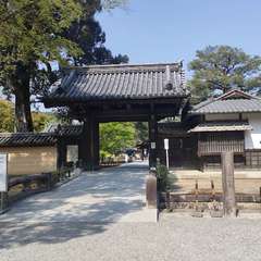 投稿日:2022年4月22日 写真