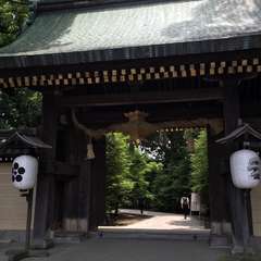 投稿日:2016年6月10日 写真