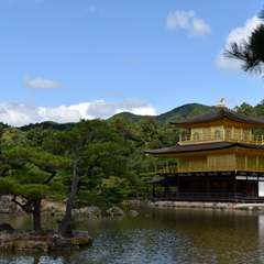 投稿日:2017年10月20日 写真