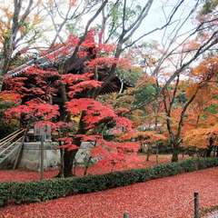 投稿日:2015年12月5日 写真