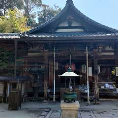 投稿日:2022年4月22日 写真