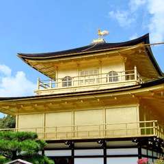 投稿日:2019年2月23日 写真