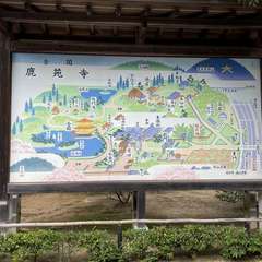 投稿日:2021年8月14日 写真