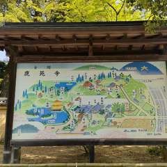 投稿日:2022年4月22日 写真