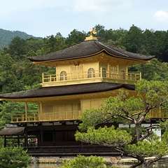 投稿日:2016年6月10日 写真