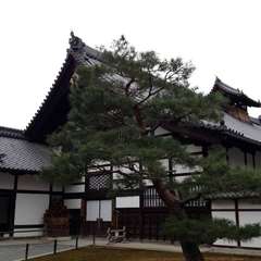 投稿日:2020年1月14日 写真