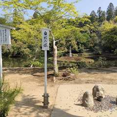 投稿日:2022年4月22日 写真