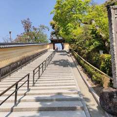 投稿日:2022年4月22日 写真