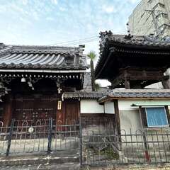 獨證寺 山門(投稿日:2025年12月2日) 写真
