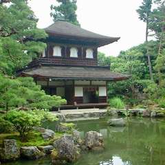 投稿日:2019年3月21日 写真