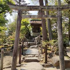 投稿日:2022年4月22日 写真