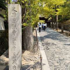 投稿日:2022年4月22日 写真