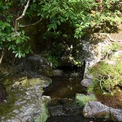 投稿日:2017年10月20日 写真