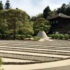 投稿日:2017年5月7日 写真