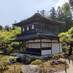 投稿日:2022年4月22日 写真