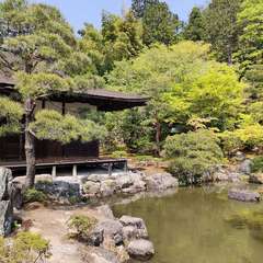 投稿日:2022年4月22日 写真