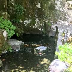 投稿日:2017年5月7日 写真