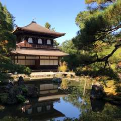 投稿日:2017年11月11日 写真