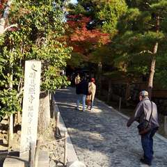 投稿日:2020年11月16日 写真