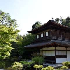 投稿日:2017年10月20日 写真