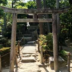 投稿日:2017年5月7日 写真