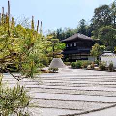 投稿日:2022年4月22日 写真