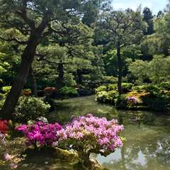 投稿日:2017年5月7日 写真