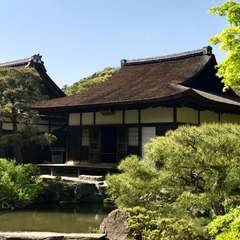 投稿日:2017年5月7日 写真