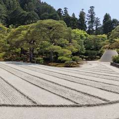 投稿日:2022年4月22日 写真