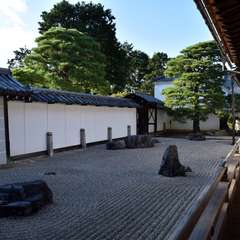 投稿日:2017年10月20日 写真