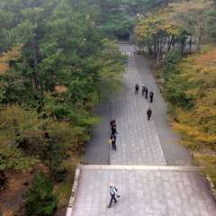 投稿日:2015年10月15日 写真